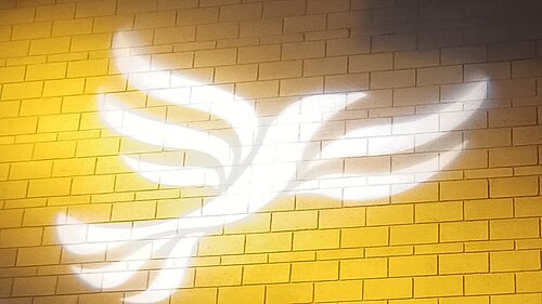 Lib Dem logo bird projected on blockwork