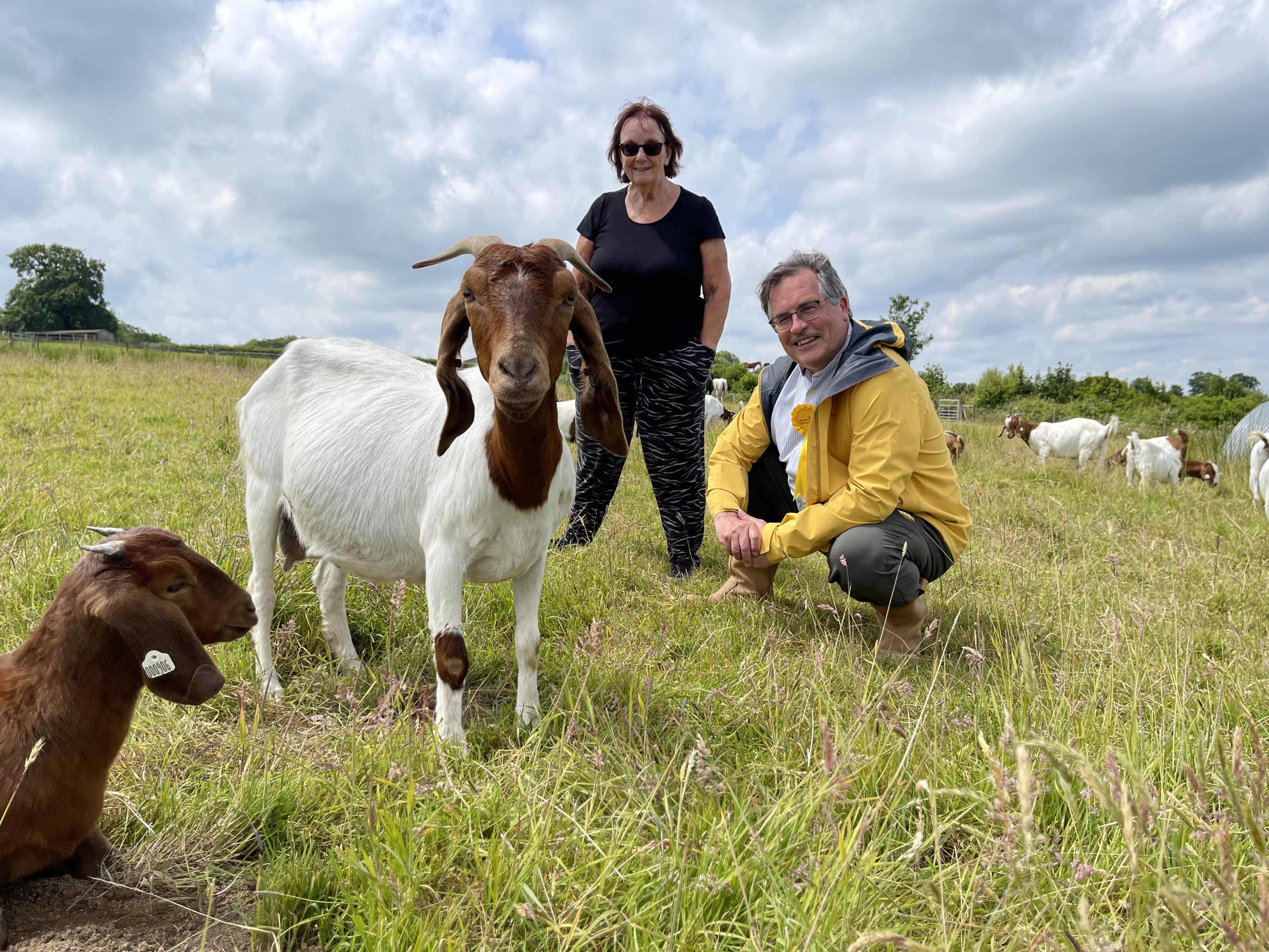 Mark Wooding at the goat farm